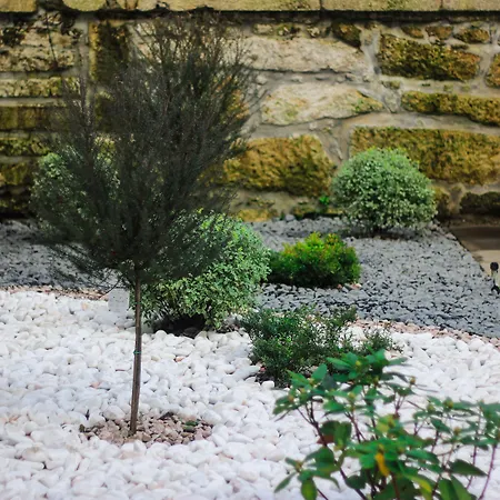 オポルト トレンディ