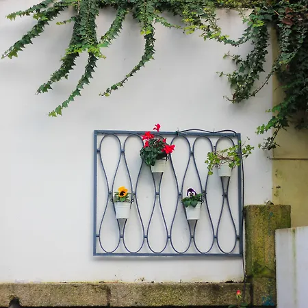 Apartment Trendy Porto