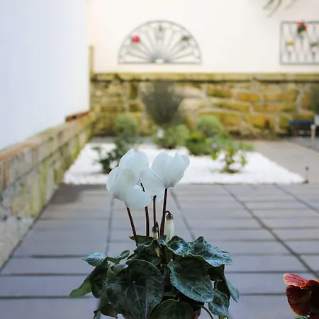 Apartman Trendy Porto